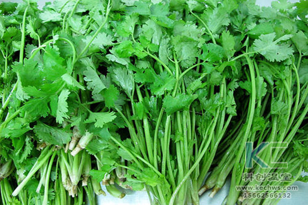 無土栽培,無土栽培技術,無土栽培設備