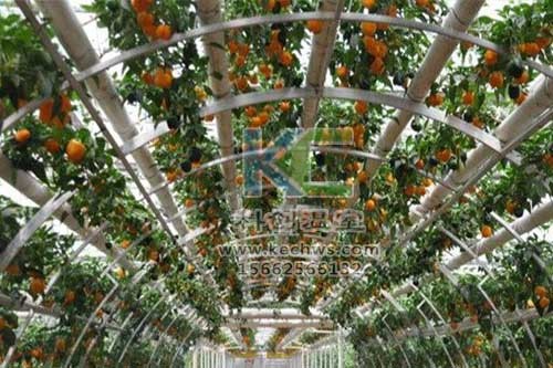 無土栽培，無土栽培技術(shù)，無土栽培設(shè)備