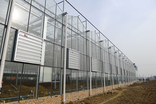 無土栽培,無土栽培技術,無土栽培設備