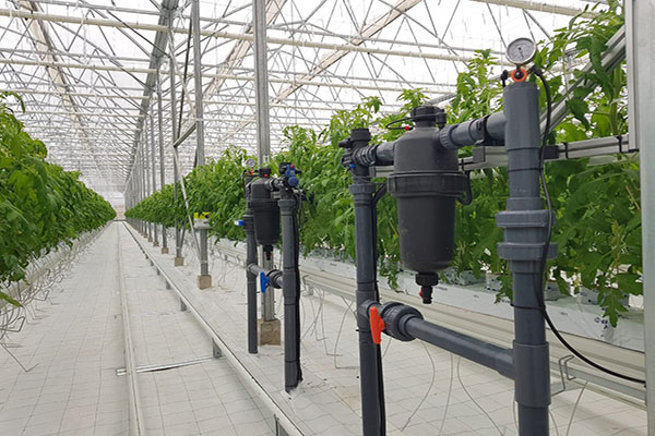 無土栽培,無土栽培技術,無土栽培設備